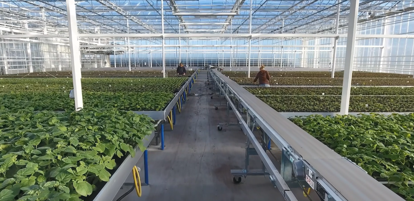 agrico research kassencomplex