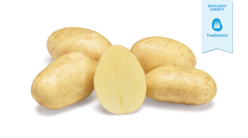 spotlight aardappelras